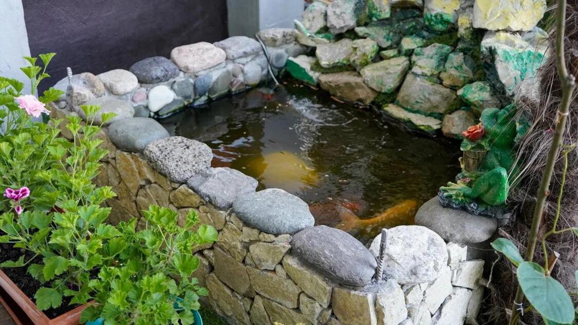 Вита Гагра Exteriér fotografie